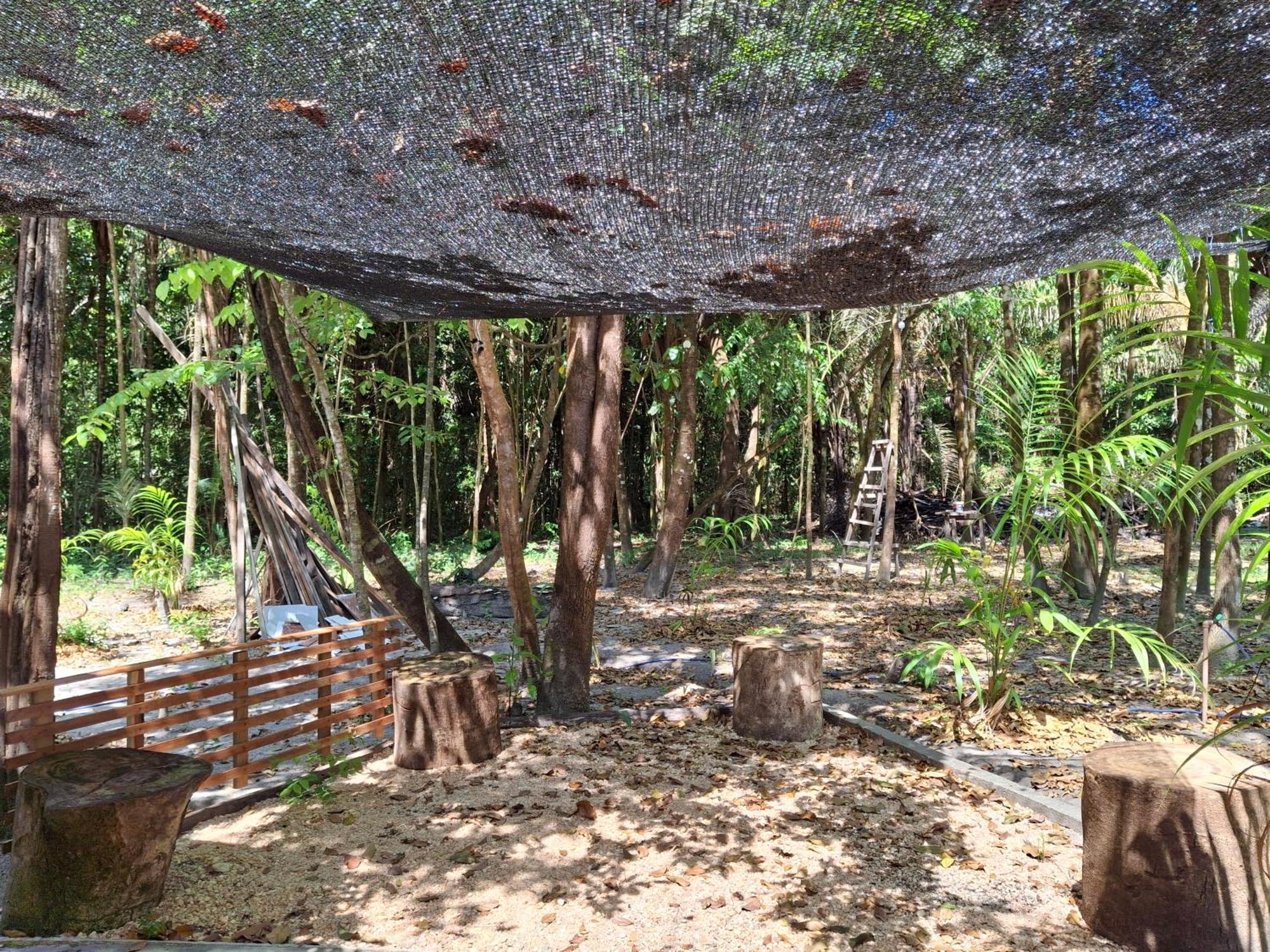 הוילה סלווטרה Casa Da Mata Marajo מראה חיצוני תמונה